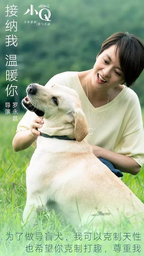 香港回乡证哪里能办